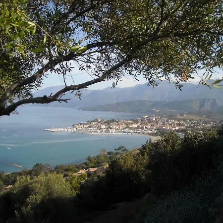 La Marquise Appartement Bastia (Corsica)